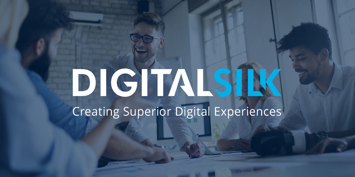 Logo of Digital Silk, a digital marketing agency