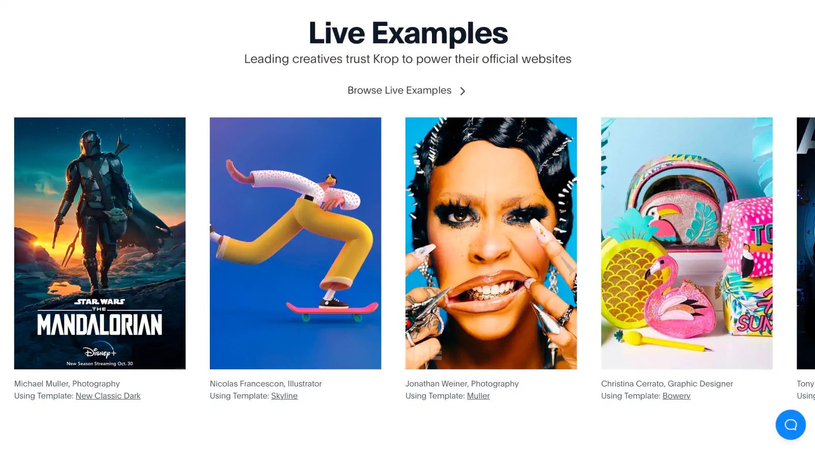 Live examples page showing various features of the website